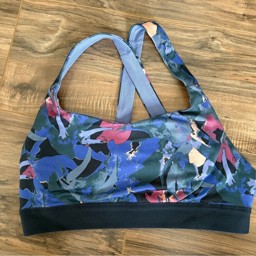 Patagonia Blue and Pink Sports Bra